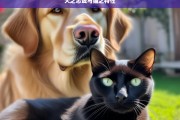 犬之忠诚与猫之特性，犬与猫，忠诚与特性之析