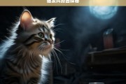 猫发抖原因探秘，猫发抖的原因剖析