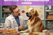 狗狗生病原因解析与健康预防指南