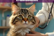 关于猫咪抖动原因的探究，猫咪抖动原因探究