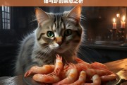 猫与虾的禁忌之析，猫与虾的禁忌解析