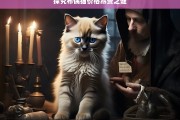 探究布偶猫价格昂贵之谜，布偶猫价格昂贵的原因探究