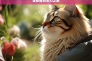 狸花猫的忠心之解，狸花猫的忠心解析