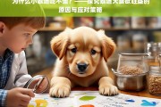 小泰迪为何总是吃不饱？——解析泰迪犬食欲旺盛的原因及科学喂养方法