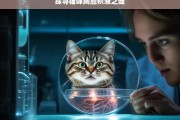 探寻猫咪胸腔积液之谜，猫咪胸腔积液成因探寻