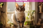 猫咪不怕人的奥秘，猫咪不怕人的秘密