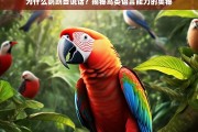 鹦鹉为何能说话？探索鸟类语言能力的科学奥秘