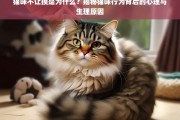 猫咪不让摸的背后，揭秘心理与生理原因