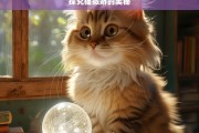 探究猫撒娇的奥秘，猫撒娇奥秘之探究