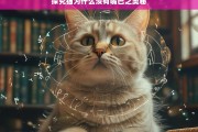 探究猫为什么没有嘴巴之奥秘，猫为何没有嘴巴？探究其奥秘