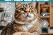 鸡胸肉喂猫的隐患，科学解析猫咪饮食误区与正确喂养方法