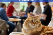 关于布偶猫绝育的探讨，布偶猫绝育之探讨