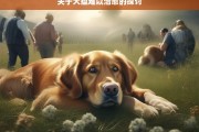 关于犬瘟难以治愈的探讨，犬瘟为何难以治愈之探讨