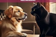 狗猫之间的恩怨情仇，狗猫的恩怨情仇录