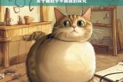 关于猫肚子不能摸的探究，猫肚子为何不能摸之探究