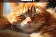 猫咪的睡眠之谜，探索猫咪的睡眠之谜