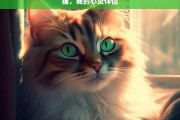 猫，我的心灵伴侣，猫——我的心灵伴侣