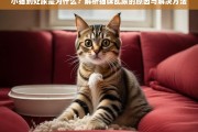 小猫到处尿的原因及解决方法全解析