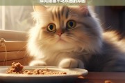 探究猫猫不吃东西的原因，猫猫为何不吃东西