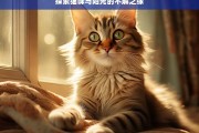 探索猫咪与阳光的不解之缘，猫咪与阳光的奇妙羁绊