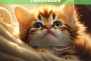 小猫呼噜呼噜的奥秘，小猫呼噜呼噜的奥秘探寻