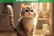 关于猫肚子咕咕叫的探究，猫肚子咕咕叫之探究