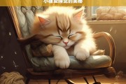 小猫爱睡觉的奥秘，小猫爱睡觉的秘密