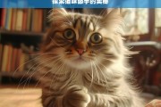 探索猫咪舔手的奥秘，猫咪舔手之谜