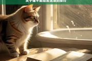 关于猫不能经常洗澡的探讨，猫为何不能经常洗澡