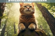 揭秘猫咪登高本能，为什么猫喜欢爬高？