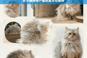 关于猫掉毛严重的全方位解析，猫掉毛严重之全方位解析