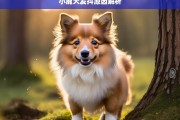 小鹿犬发抖原因解析，小鹿犬发抖的原因