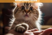 探究猫突然轻咬人的原因，猫突然轻咬人的原因探究