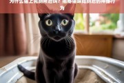 猫咪如厕后为何叫？揭秘背后的行为奥秘