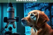 探寻狗与狂犬病的奥秘，狗与狂犬病奥秘探寻