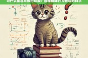 为什么猫喜欢被拍屁股？揭秘猫咪行为背后的科学原因