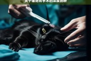 关于猫绝育手术的深度剖析，猫绝育手术深度剖析