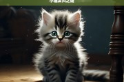 小猫发抖之谜，小猫为何发抖