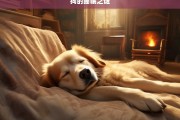 狗的睡眠之谜，狗的睡眠之谜探究