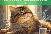 猫为何怕冷不怕热？——揭秘猫咪独特的体温调节机制