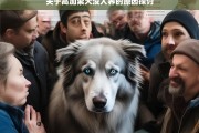 关于高加索犬没人养的原因探讨，高加索犬少人养的原因剖析