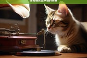 探究猫发出声音的奥秘，猫声音奥秘探究