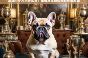 法国斗牛犬价格高昂的背后原因揭秘