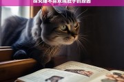 探究猫不喜欢摸肚子的原因，猫为何不喜欢被摸肚子