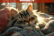 猫咪的睡眠之谜，探索猫咪的睡眠之谜