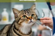 探究小猫得耳螨的原因，小猫患耳螨的原因探究