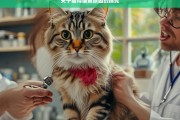 关于猫得猫癣原因的探究，猫得猫癣的原因剖析