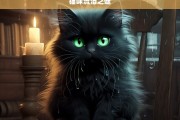 猫咪流泪之谜，猫咪为何流泪