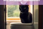 猫咪为何爱跟主人上厕所？揭秘厕所守护背后的原因