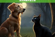 探究狗猫天敌之谜，狗猫为何是天敌？——探究狗猫天敌之谜